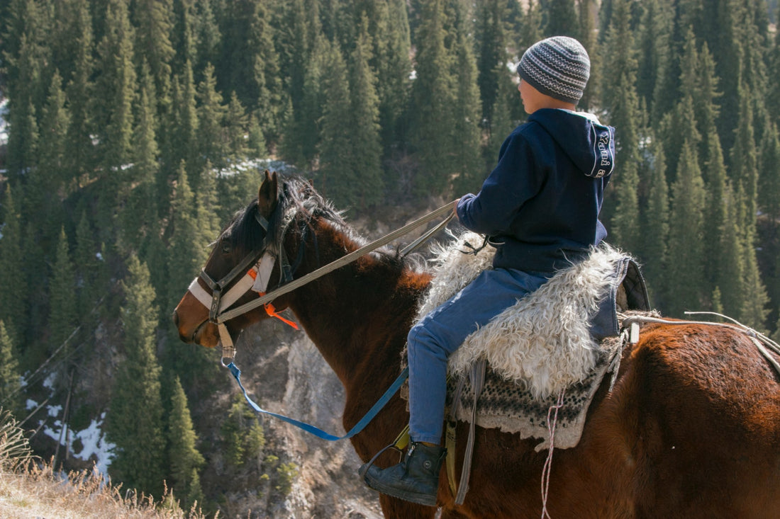 Ashwini, the horse rider